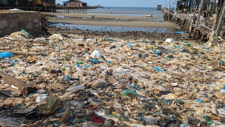 Our Impacts